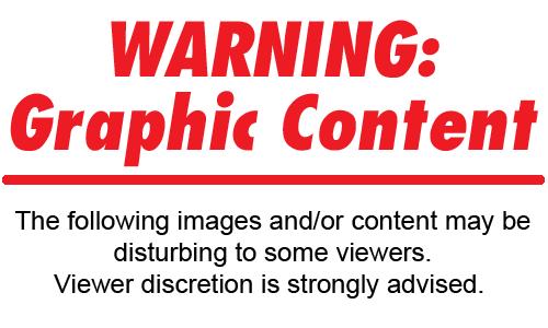 Graphic Pic Warning.bmp