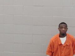 Mugshot of Johnson, David Lee