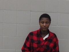 Mugshot of Womack, Kindall Danette